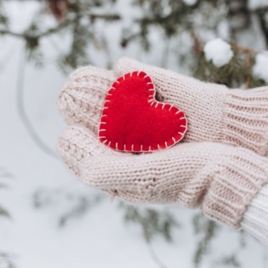 Сбор вещей и продуктов для бездомных